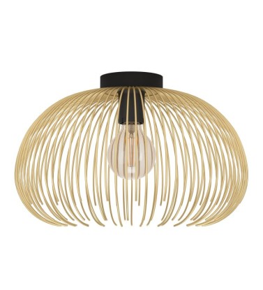 VENEZUELA ceiling light