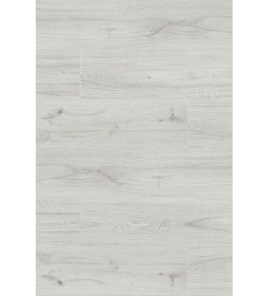 TERRACLICK - Truva T-719
